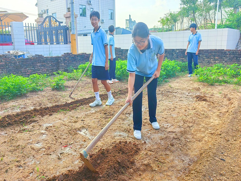邢台叛逆少年改变学校具体位置在哪?本地寄宿培育机构盘点